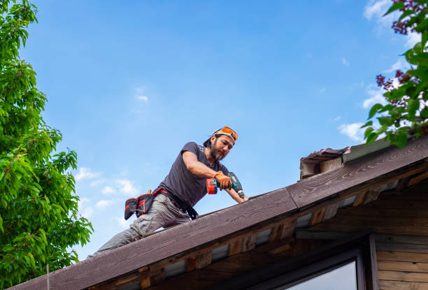 Best Steel Roofing  in Baldwyn, MS